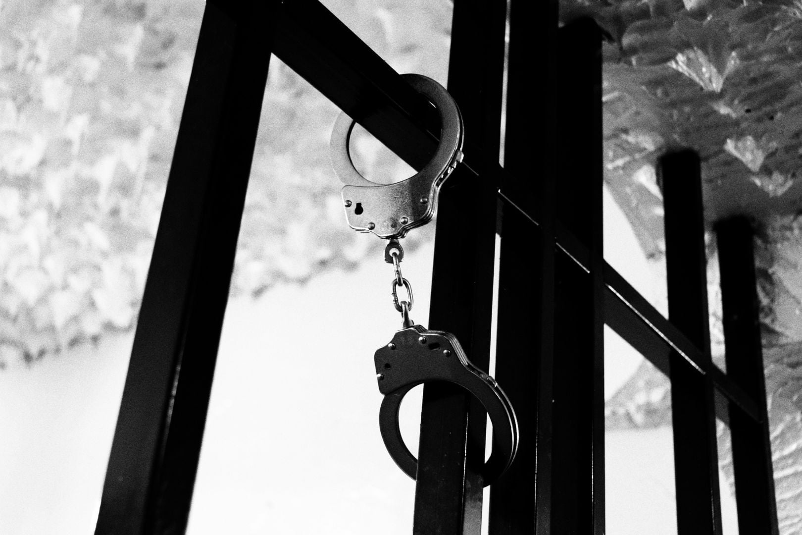 orange-park-florida-bail-bonds-absolute-bonzmen-bail